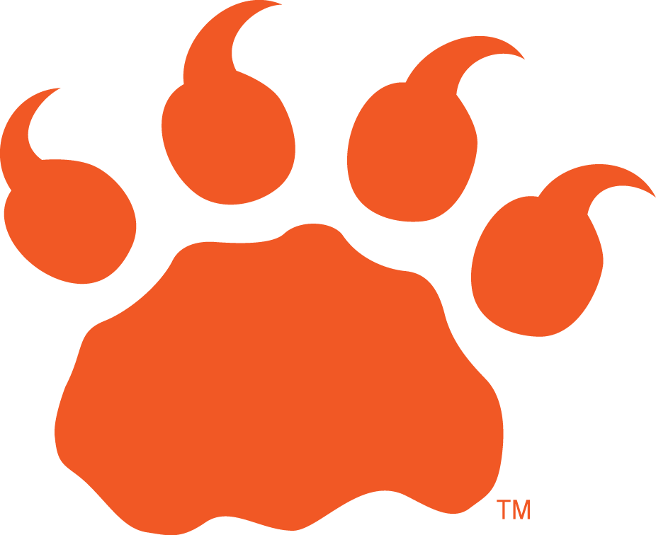 bc lions 2005-pres alternate logo DTF transfer for t shirt